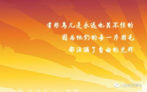 我的大学 一段全新的旅程