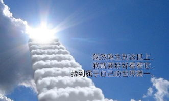 国际现货的趋势,你走在哪一条道路上