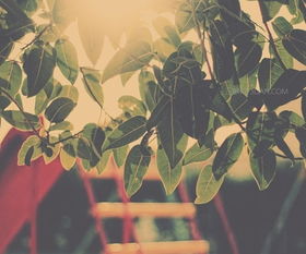 坚定信念的励志文章