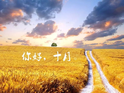 十月早安心语正能量 10月早安语录励志正能量激励语句