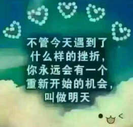 不爱,所以不懂