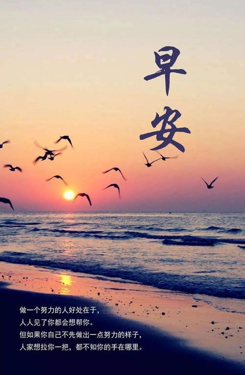 新的一天励志早安图片说说句子,正能量早安语录