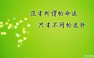 你只是看起来很努力