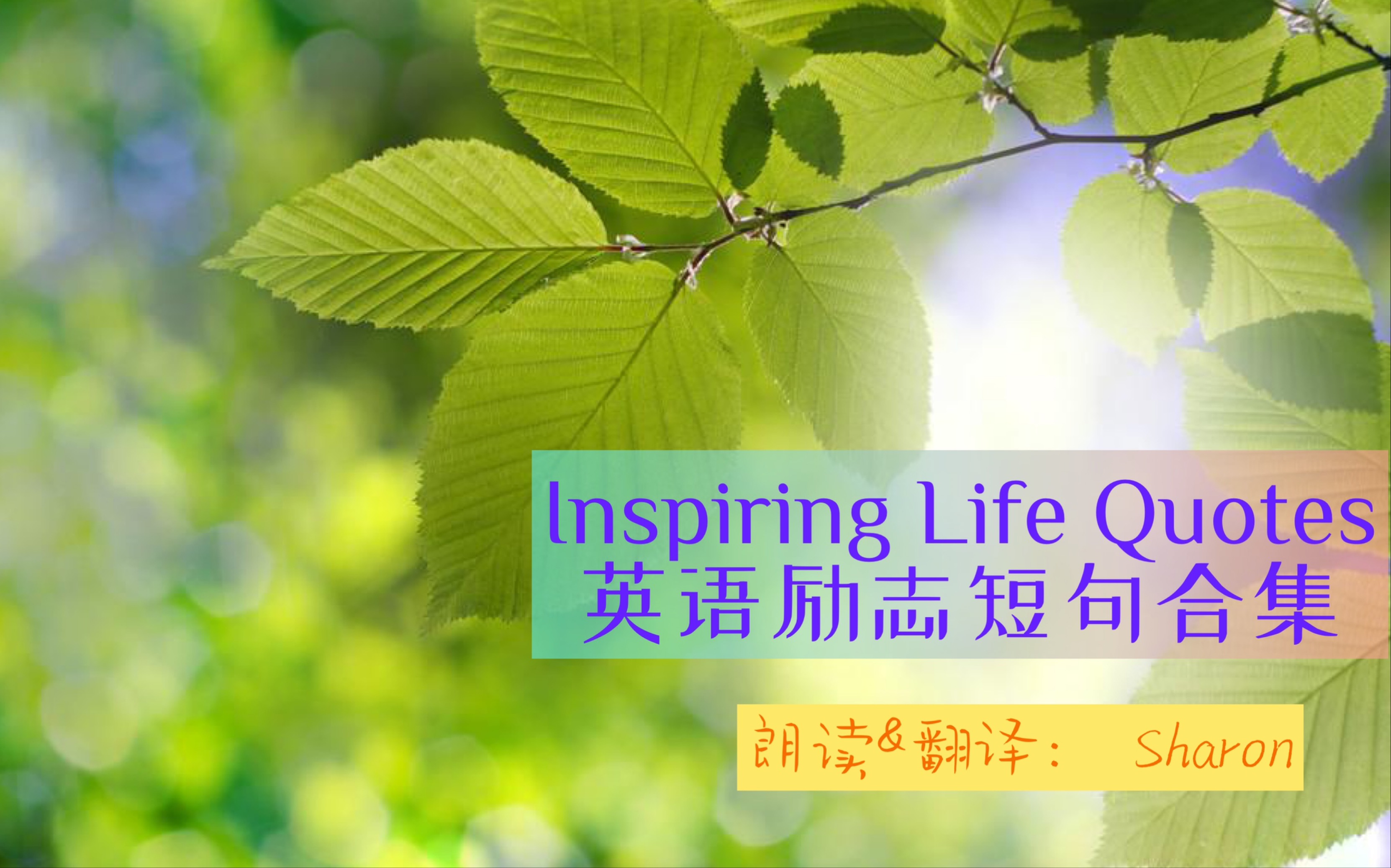 晨会励志文章精选_适合公司晨会的励志文章