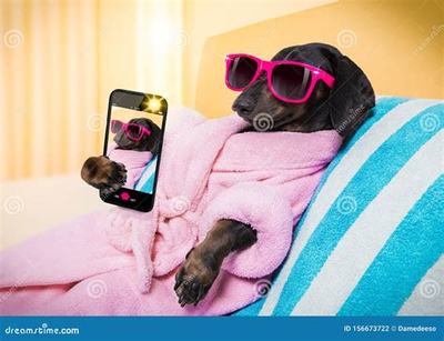 成功之路,勇往直前--励志成功故事与H戏贪玩网游平台