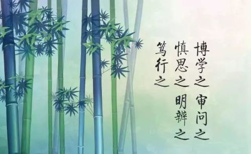 路要自己走，不能指望别人